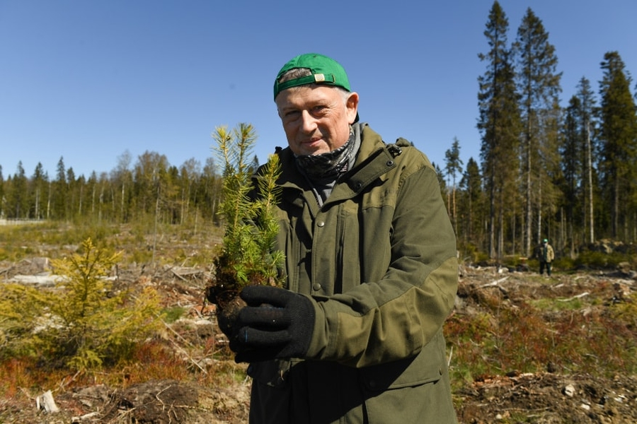 Александр Дрозденко: «Сажать лес- благородное дело»